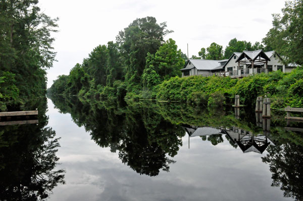 the black waters at Dismal Swamp State Park